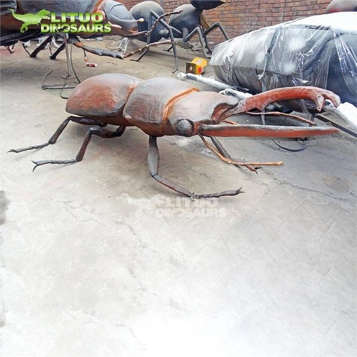3Insect Exhibit Stag Beetle(001)