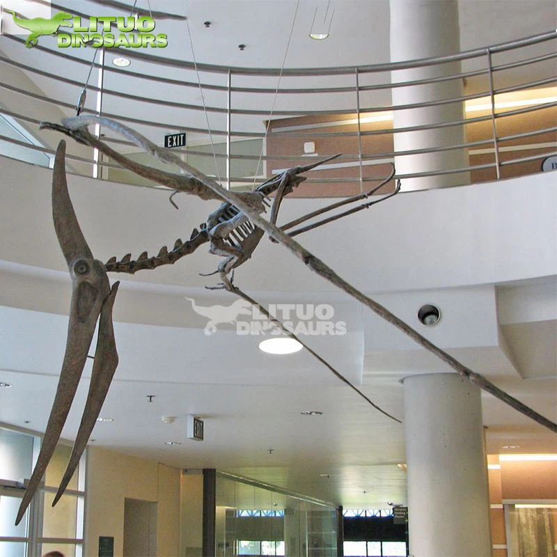 Kostra pteranodona