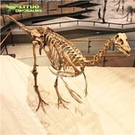 kostra ornithomimu