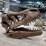 Lebka T-rex