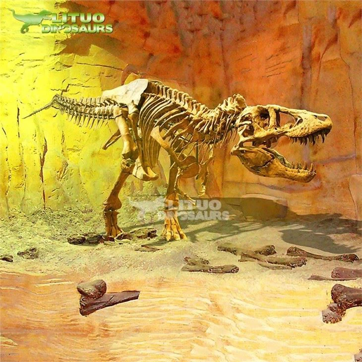 4Fossil t-rex(001)